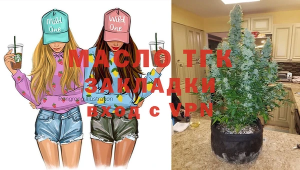 шишки Киренск