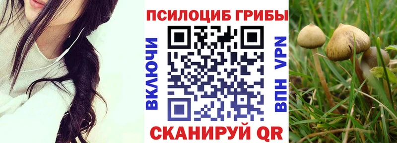 Купить где  Крымск  Галлюциногенные грибы прущие грибы 